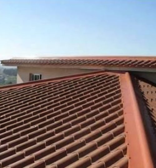 WhatsApp Image 2026-02-18 at 13.36.26 (4)