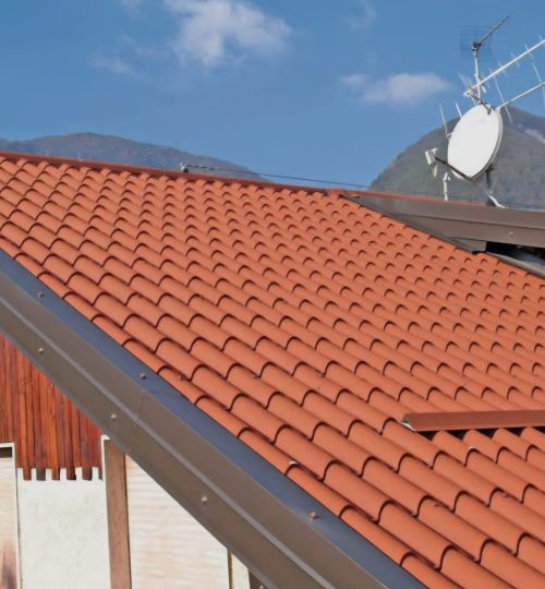 WhatsApp Image 2026-02-24 at 14.16.13 (2)